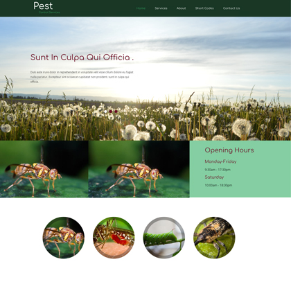 Gɫt(y)Ժ푑(yng)ʽW(wng)ģd