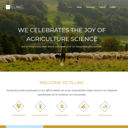 r(nng)I(y)߹g(sh)I(y)W(wng)վģ