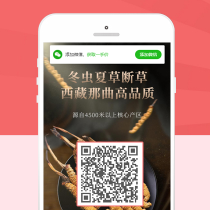 移動營銷推廣落地頁pbootcms網(wǎng)站模板